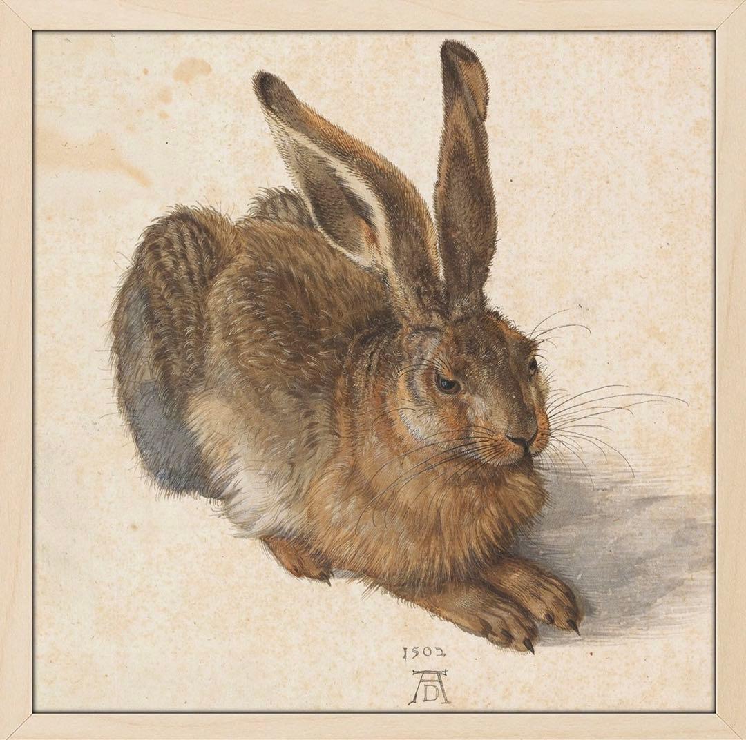 アルブレヒト・デューラー 水彩画 「うさぎ」 複製画 - メルカリ