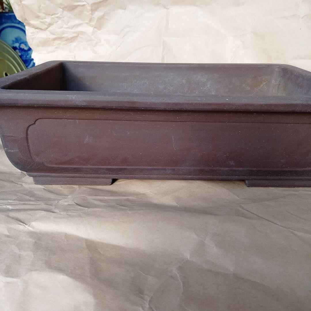 常滑焼 盆栽鉢長方形11号 35x26x10 国産 山野草鉢 ウ泥長角マド入