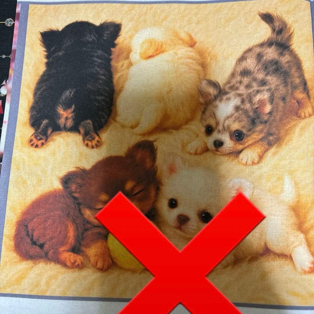 感謝価格 ミニフラットポーチ 柴犬ちゃん