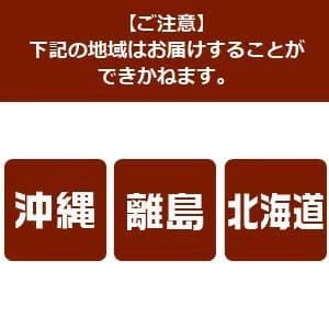 メーカー直送 東屋 NRS-506NA ラタンチェア ナチュラル ラタン製