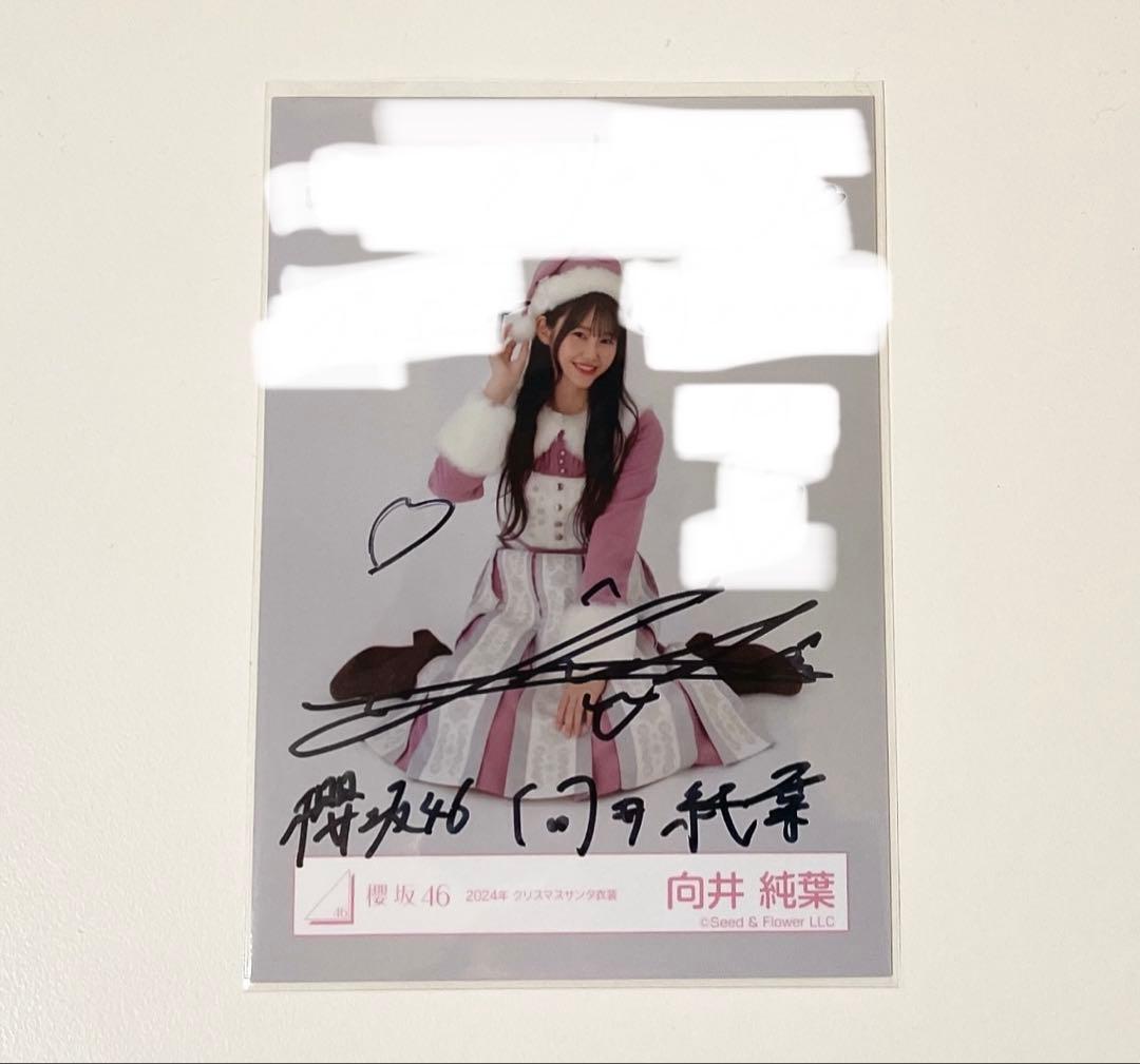櫻坂46 向井純葉 2024サンタ衣装 直筆サイン 座り - メルカリ
