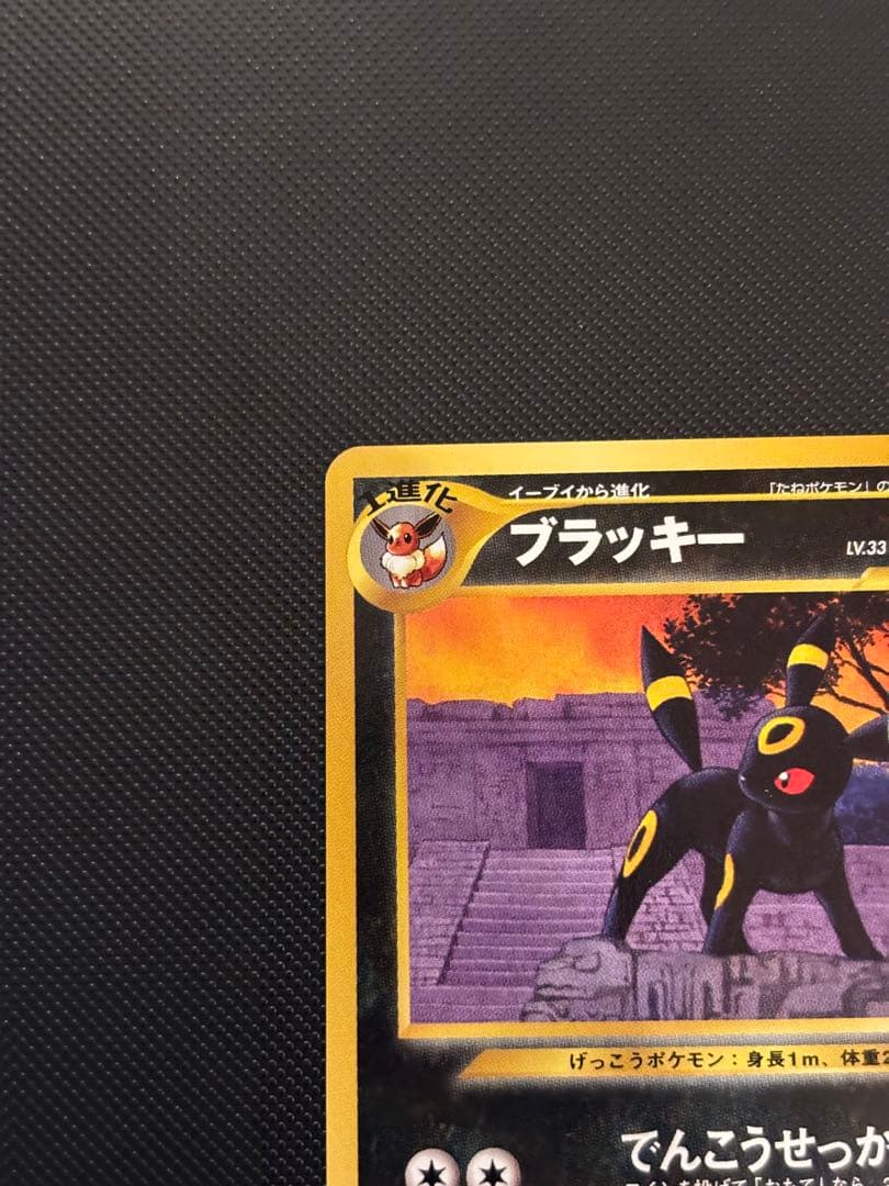 旧裏 ブラッキー プレミアムファイル2 ☆neo 遺跡をこえて