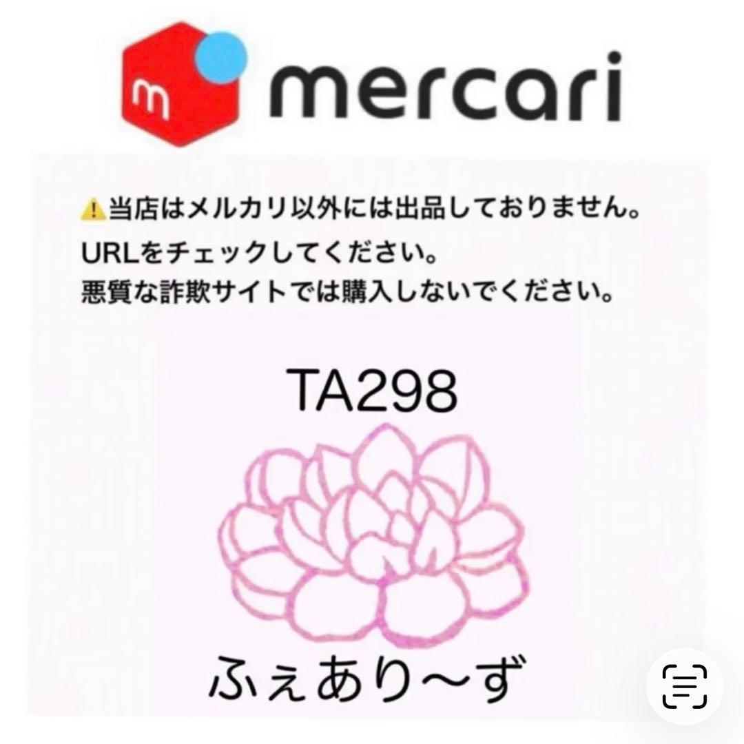 【速達サービス@7980】アミスター錦(覆輪斑)