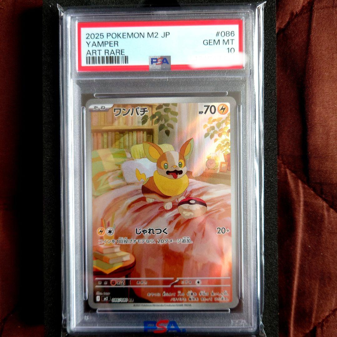 PSA10 ワンパチ 086/080 AR M2 2025 ワンパチ【AR】{086/080} - カードラッシュ[ポケモン]