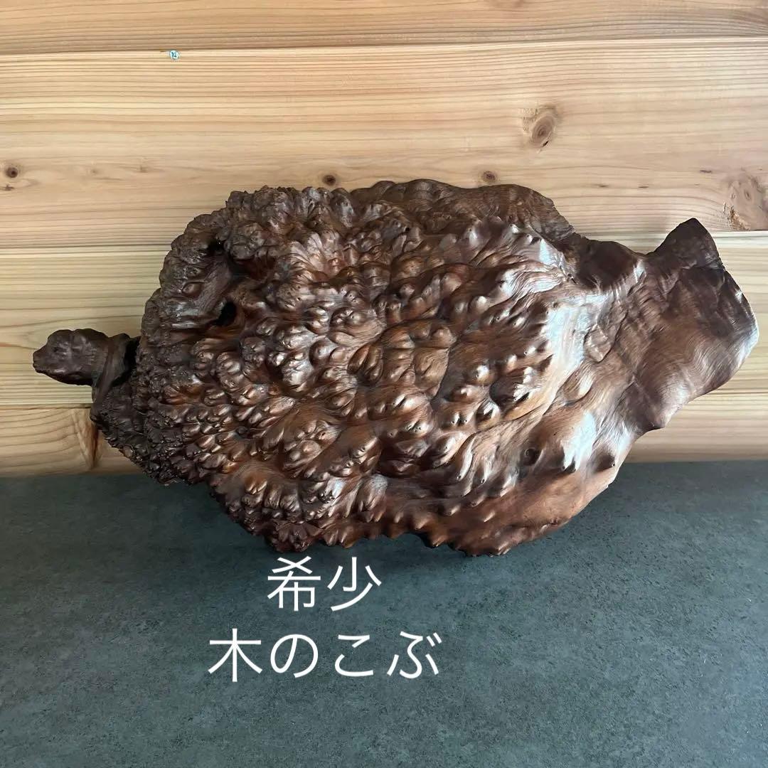 希少 木の瘤 こぶ 自然な形状の木材 約50cm 縁起もの - メルカリ
