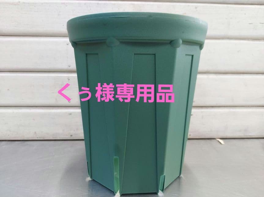 専用品　スリット鉢ロング　210Ｌ7p&180Ｌ17p スリット鉢ロング 7号 | 鉢・プランター・花台・温室 通販