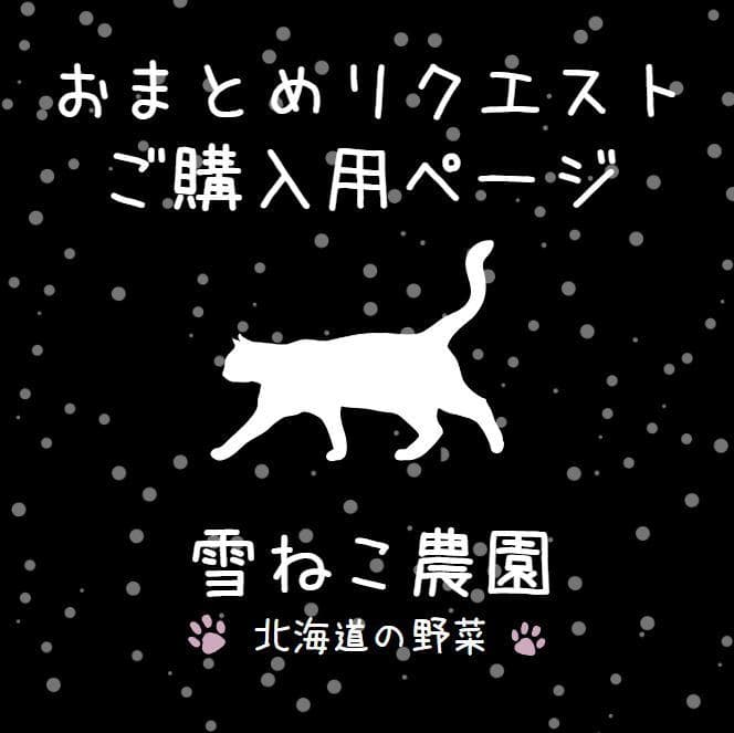 レオン❣️同梱割➖200(プロフ必読)様 リクエスト 4点 まとめ商品