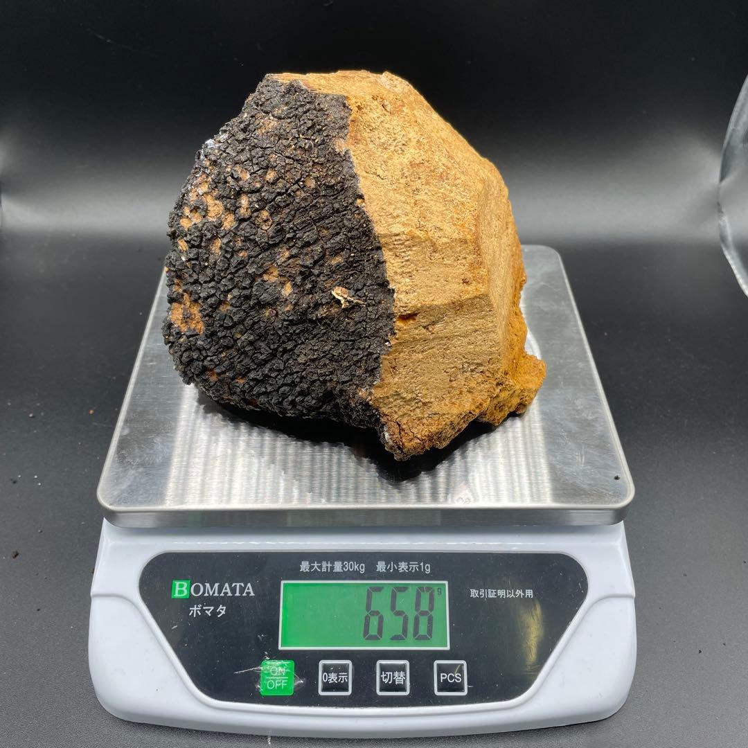 カバノアナタケ 原塊 2点セット 計約2.15kg（1.5kg＋0.65kg） - メルカリ