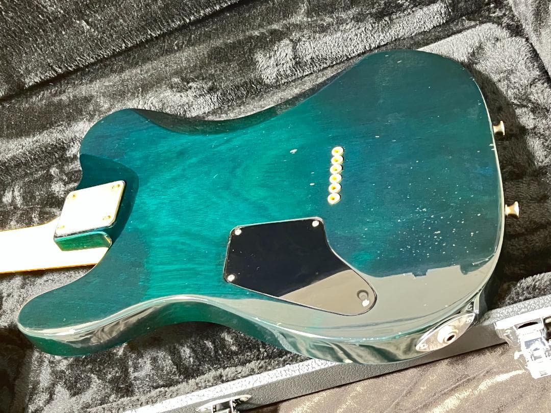 Vanzandt SCHECTER コンポーネントテレキャスター 上質木材使用 - メルカリ