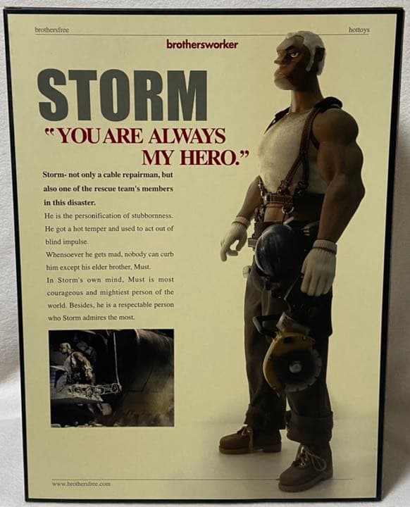 鉄人兄弟 × HOTTOYS マイケルラウMUST&STORM2体セット - メルカリ