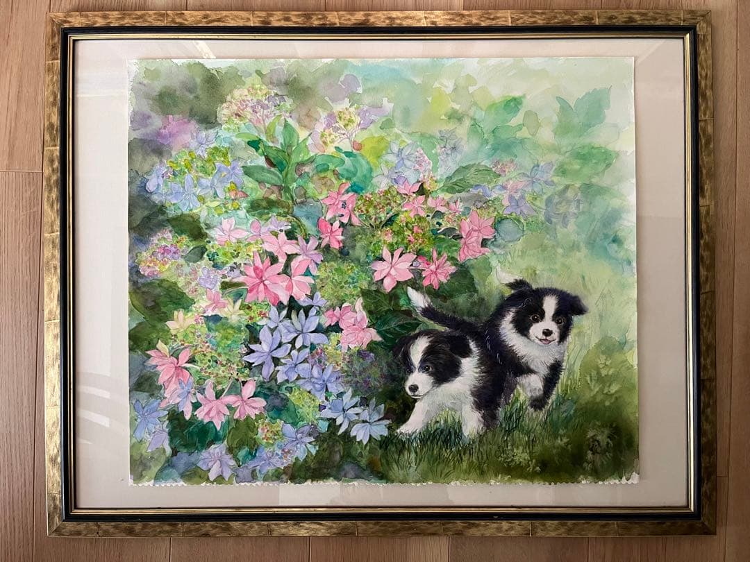 水彩画 ボーダーコリー あじさい