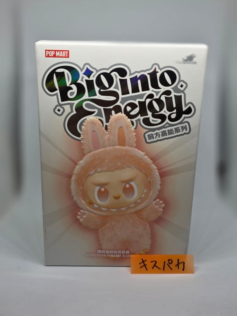 超激レア未開封ラブブ】 Biginto Energy 特別な人にプレゼント - メルカリ