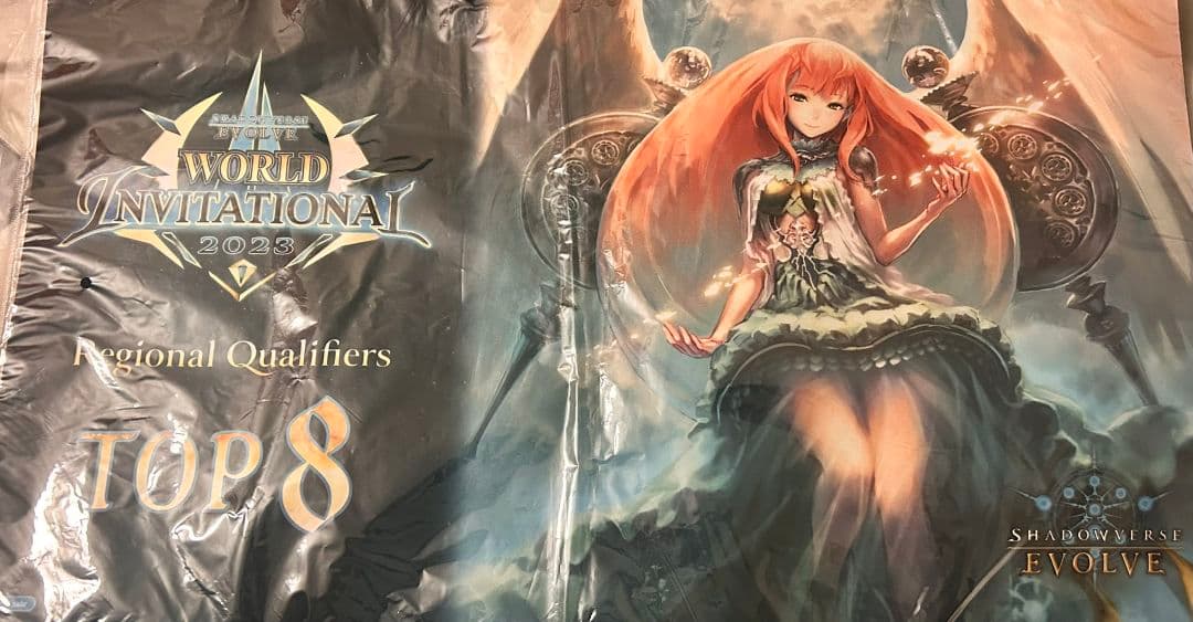 シャドウバースエボルヴ 英語版 地域大会トップ8 ガブリエル プレイ