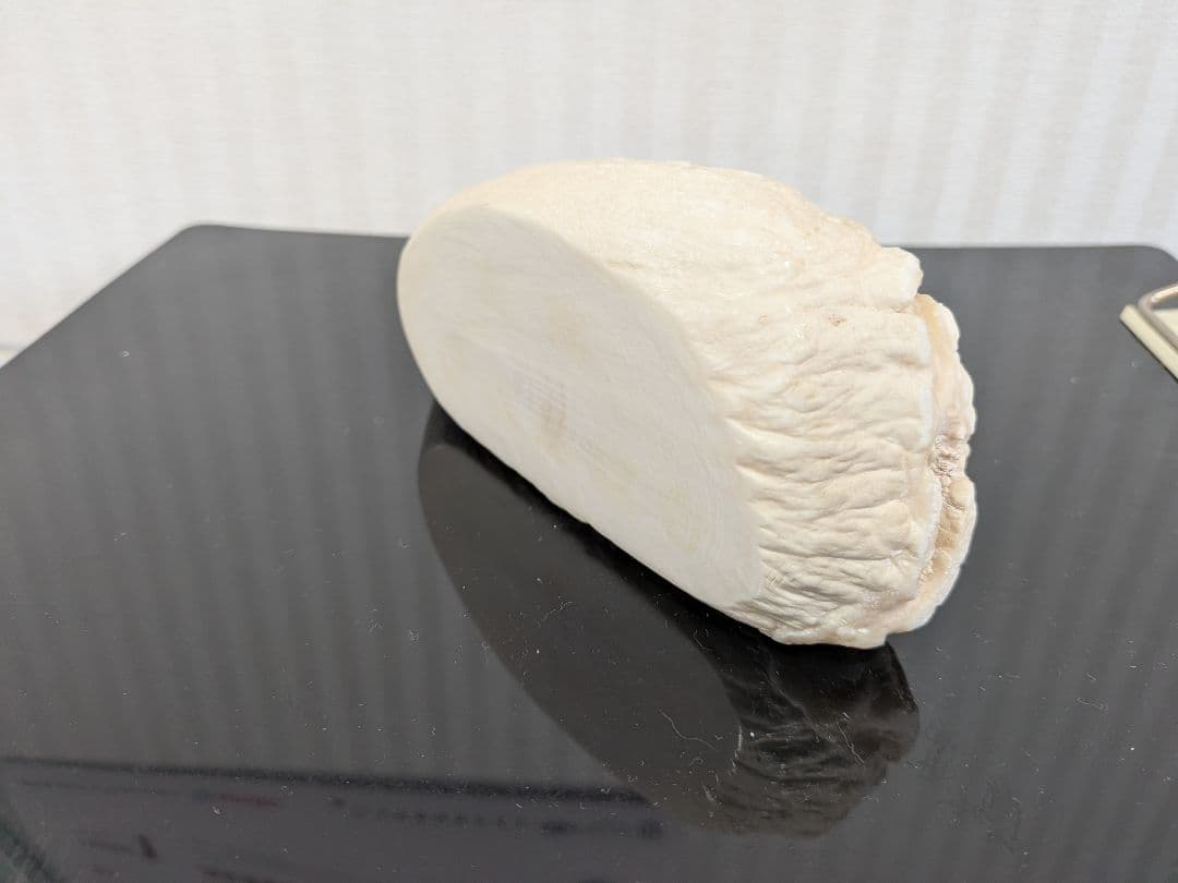 マッコウ鯨歯 本物 片面平磨き済み - メルカリ
