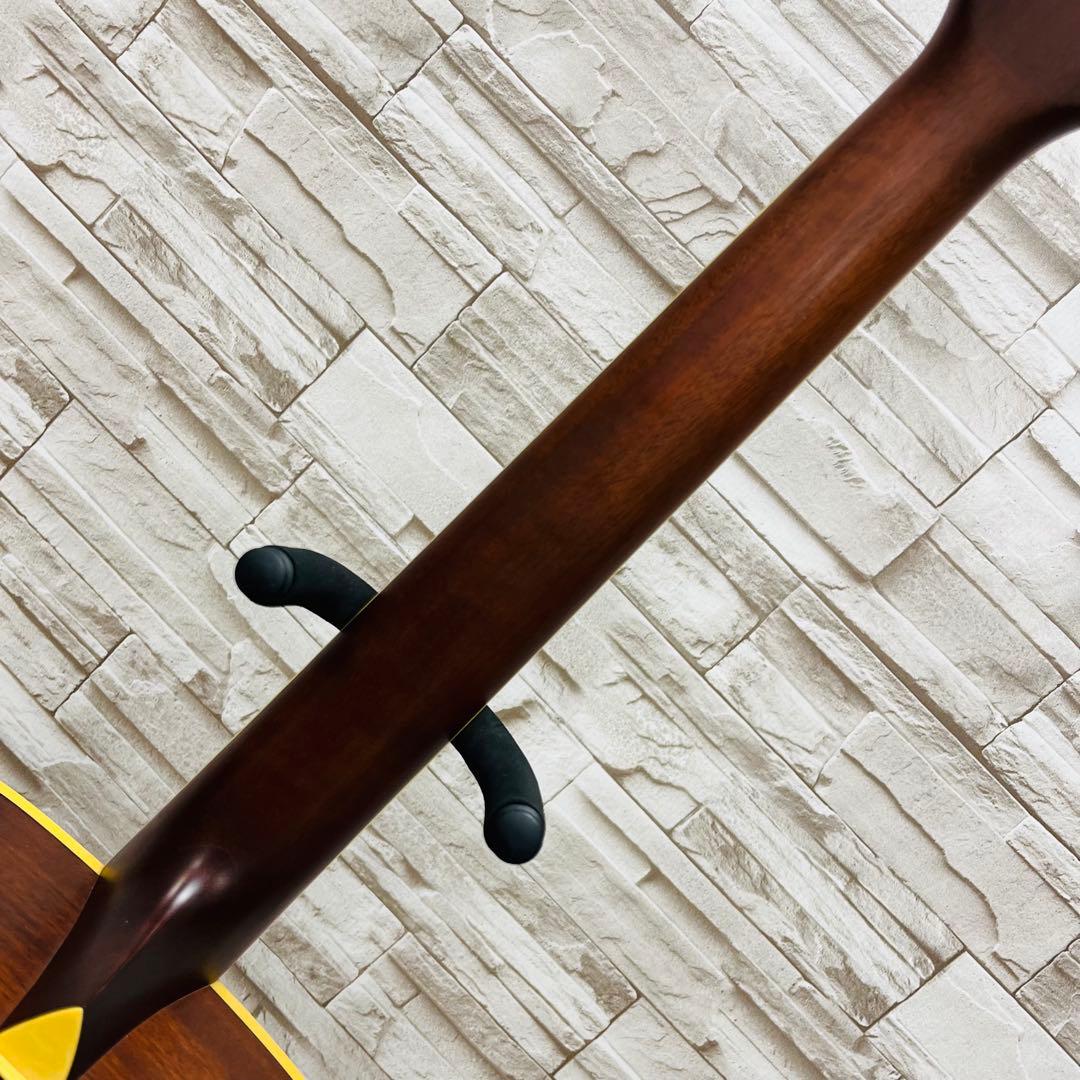 Ibanez アコースティックギター Artwood AC50MH-RLG - メルカリ