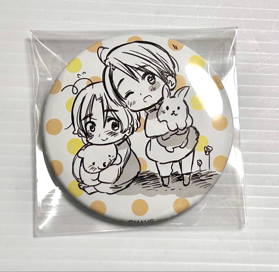 ヘタリア アメリカ カナダ 缶バッジ ちびたりあ - メルカリ