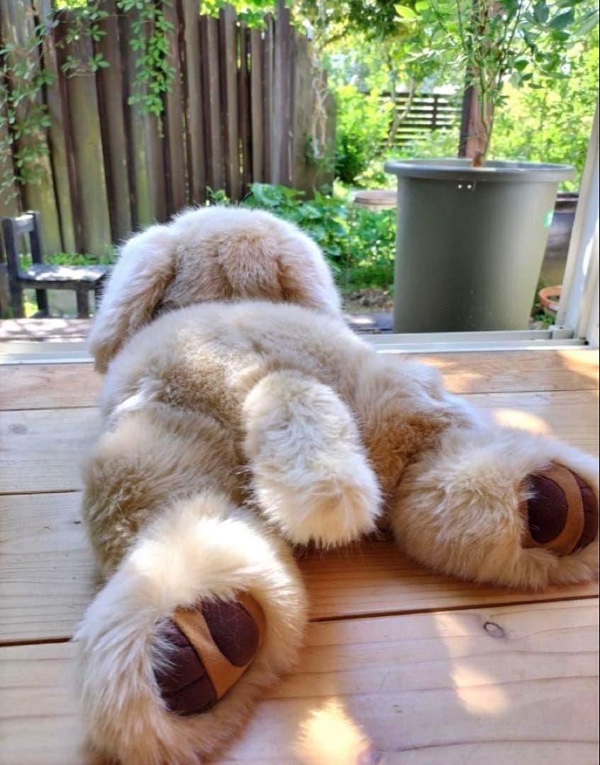 新品】【命の重み】パトラン ぬいぐるみ 犬 ゴールデンレトリバー