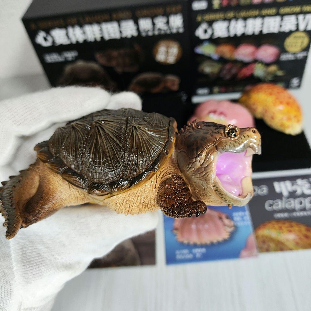 動物の惑星】激レア☆カミツキガメ限定品+カラッパ廃盤品!! フィギュア