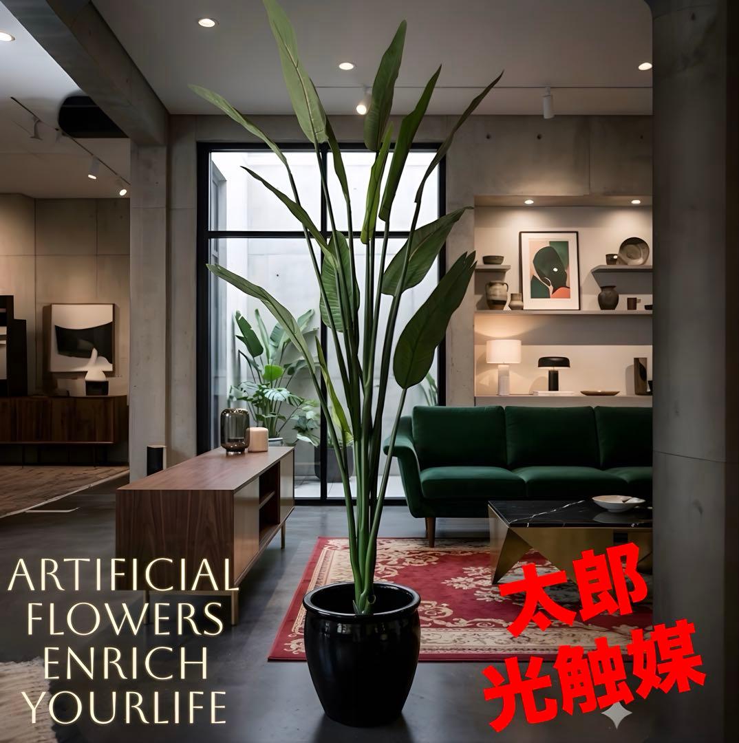 光触媒　人工観葉植物　オーガスタ　フェイクグリーン　ストレッチア155aj 楽天市場】【クーポン20%off 2/25 00時〜24時】 人工観葉植物 お手入れ