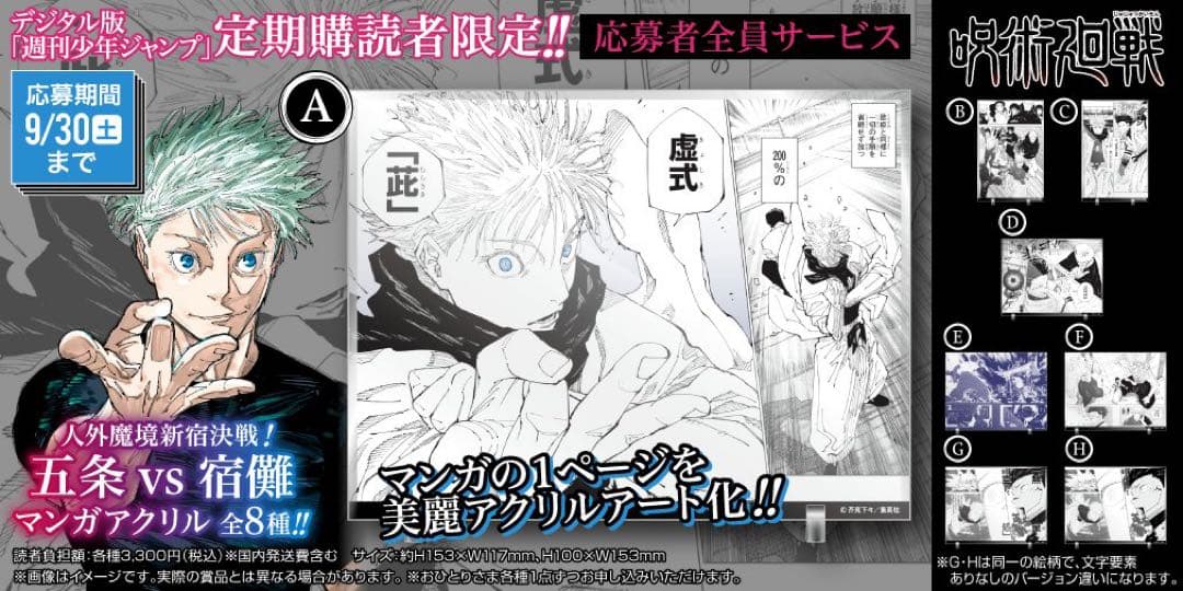 新品未開封】呪術廻戦 領域展開 五条悟vs両面宿儺 マンガアクリルD