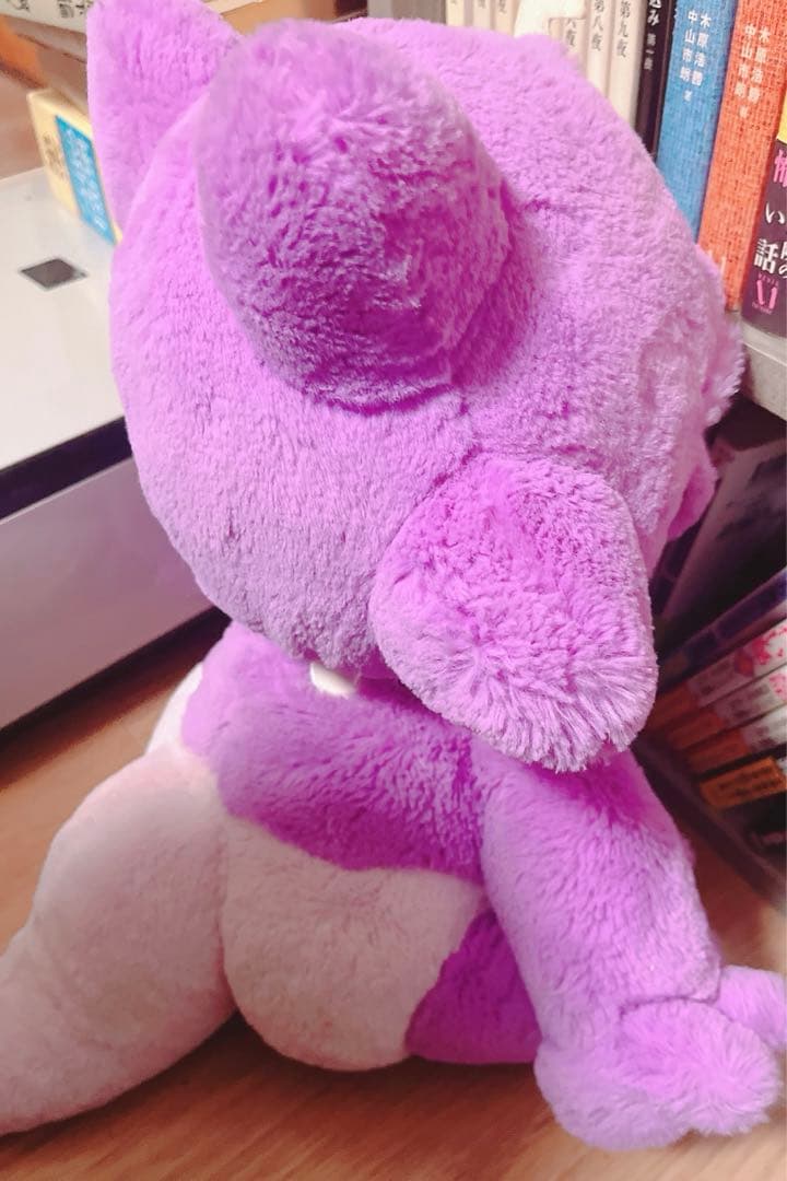 最終値下】ポケモンセンターオリジナル ふわふわ抱きぬいぐるみ