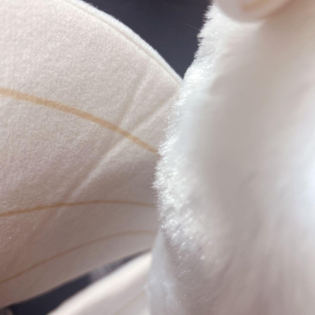 ふわふわモスちゃん シロモ 3点セット ぬいぐるみ カイコガ - メルカリ
