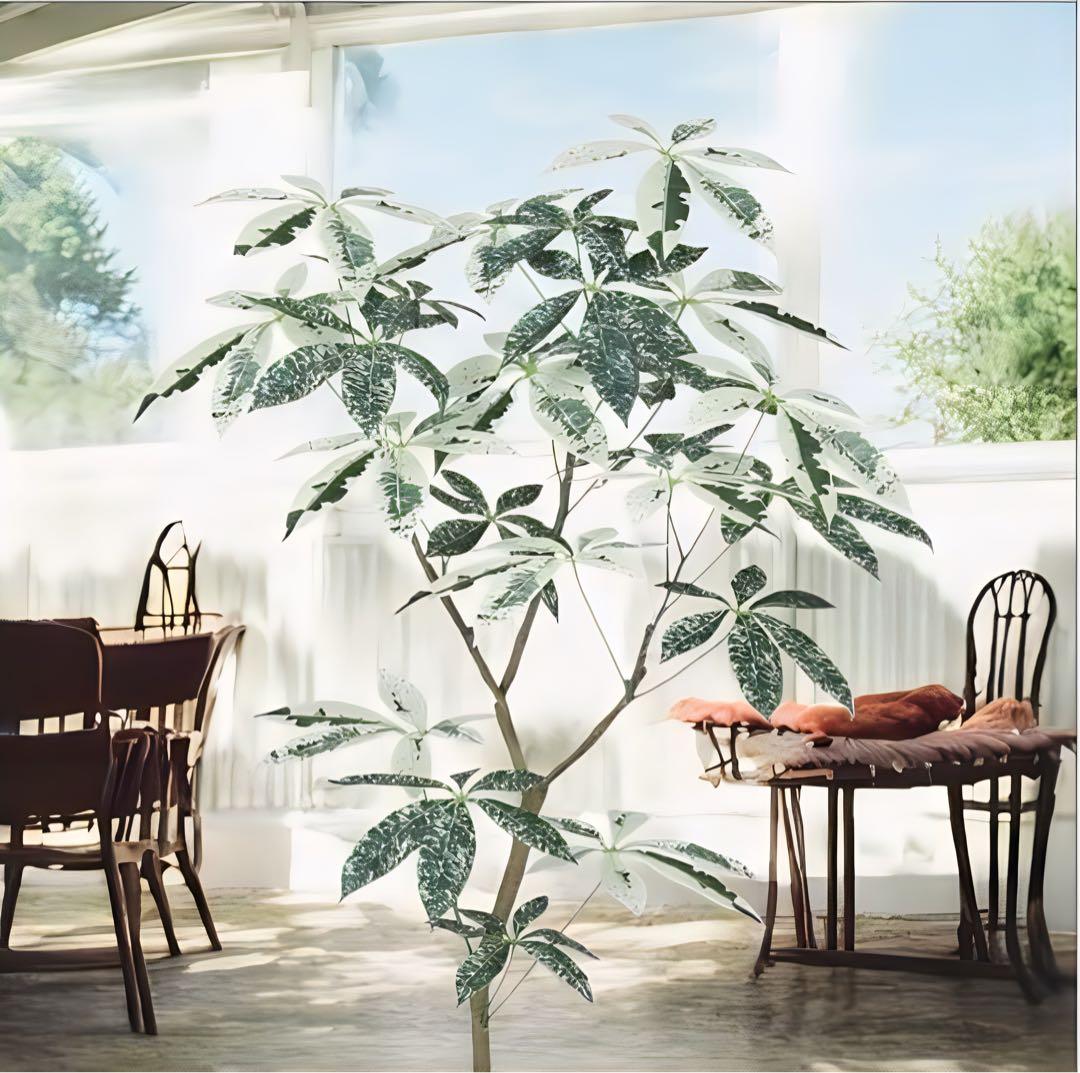 光触媒 人工観葉植物 フェイクグリーン パキラミルキーウェイ120FST