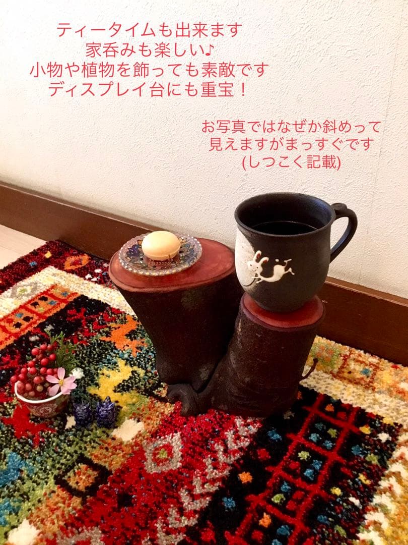 希少縁起木！天然木斛【年輪2つ！森と大自然の切り株飾り台