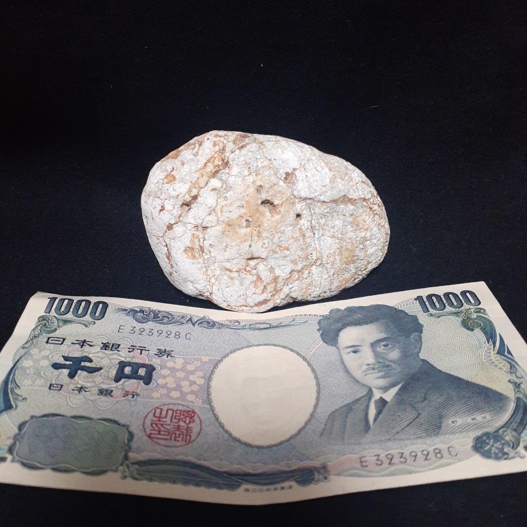 人生をやり直したい 人生を変えたい貴方へ 金運波動 チャネンリング