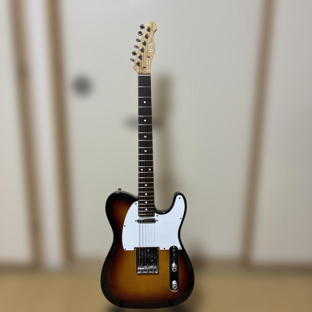 FgN(フジゲン) テレキャスタータイプ FUJIGEN（フジゲン） FGN FUJIGEN NTE110MMHT TBL ブルー