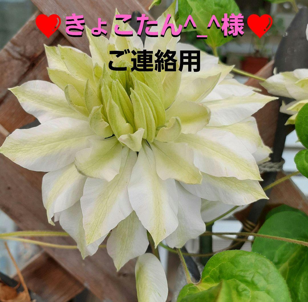 ♡きょこたん^_^様♡ 　　確認用　❤️ご連絡用❤️ SHOWROOM(ショールーム) | ライブ配信サービス