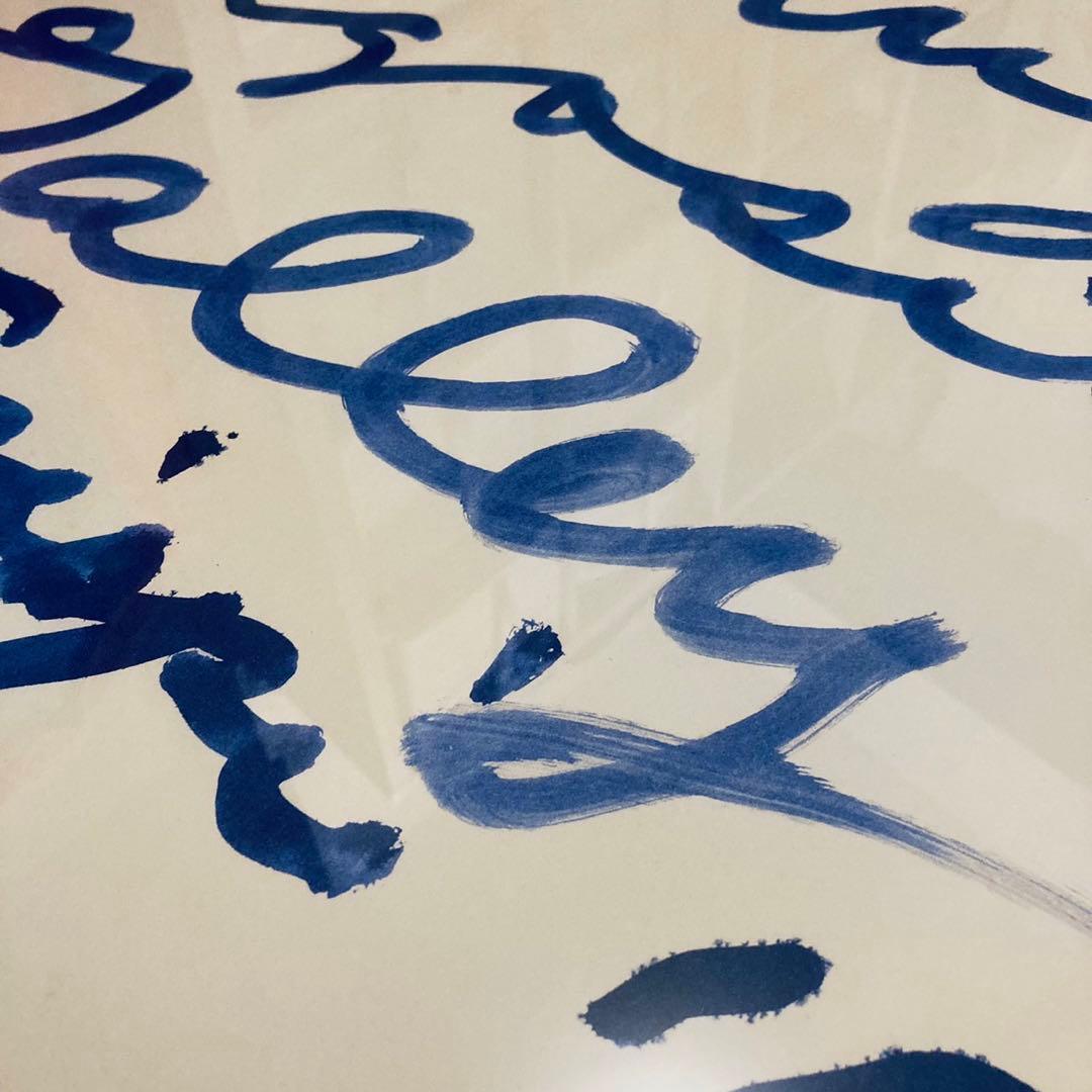 デッドストック正規品Cy Twombly サイトゥオンブリー 特徴額装済