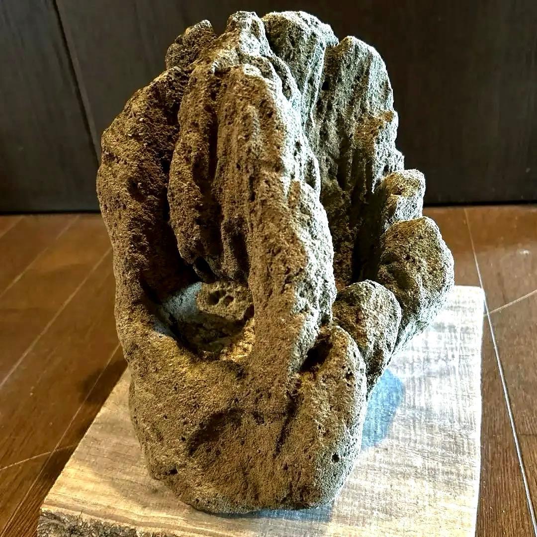 山渓鉢 溶岩石 雲山石 希少 一点モノ 苔 山野草 盆栽 多肉植物