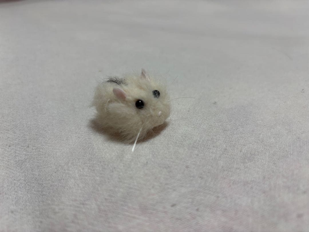 ハンドメイド モール ジャンガリアンハムスター - メルカリ