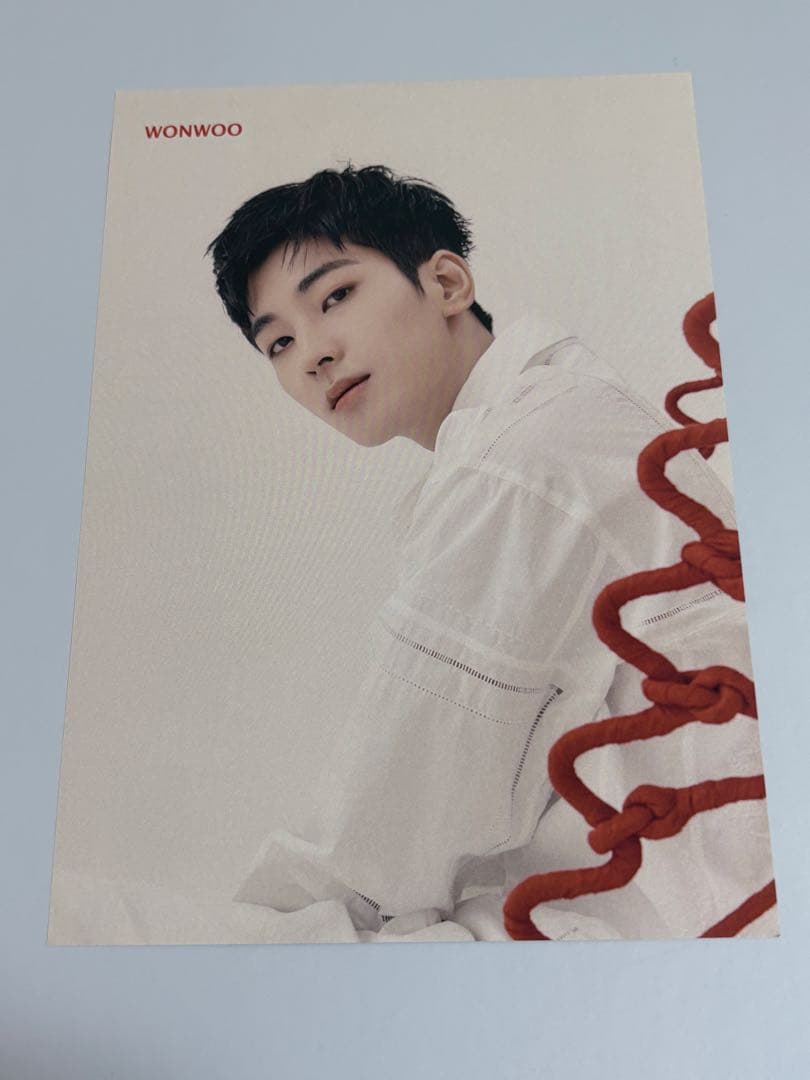 ウォヌ 24h フライヤー 渋谷タワレコ限定 SEVENTEEN セブチ レア
