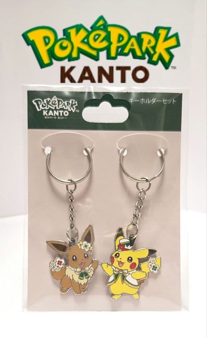 ポケパーク カントー ピカチュウ イーブイ カーニバル衣装