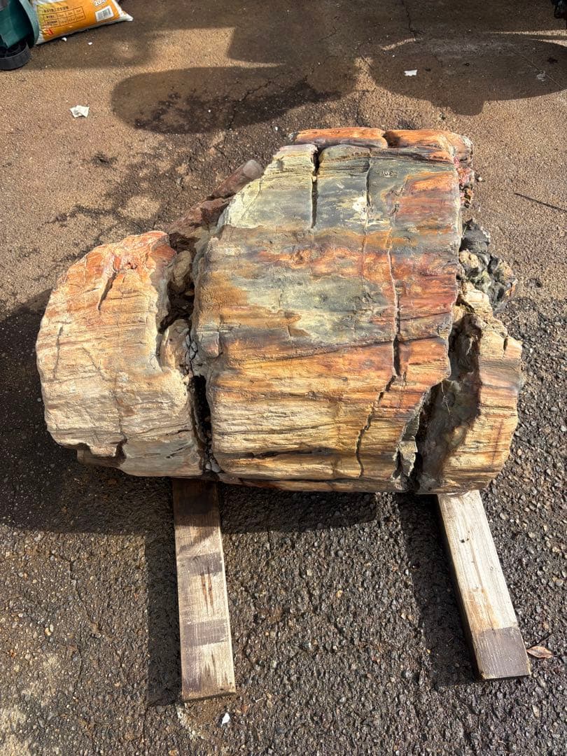 天然木化石 丸太状原石 庭石 観賞石 オブジェ 80cm級 天然木化石 丸太状 原石 庭石 観賞石 80cm級