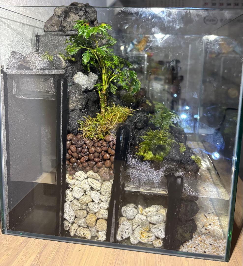 受注作品 アクアテラリウム 滝 池 苔テラリウム 30cm水槽 - メルカリ