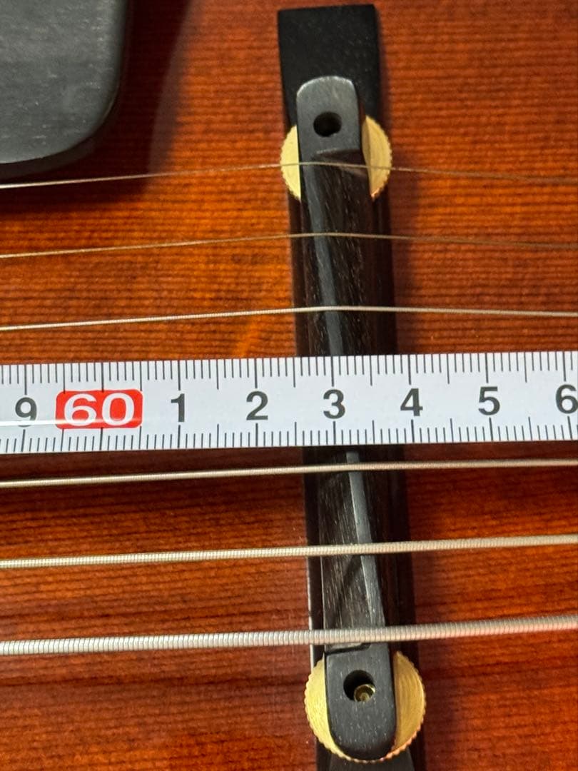 Eastman T-145SM 17st 7弦フルアコ スペシャルオーダー - メルカリ