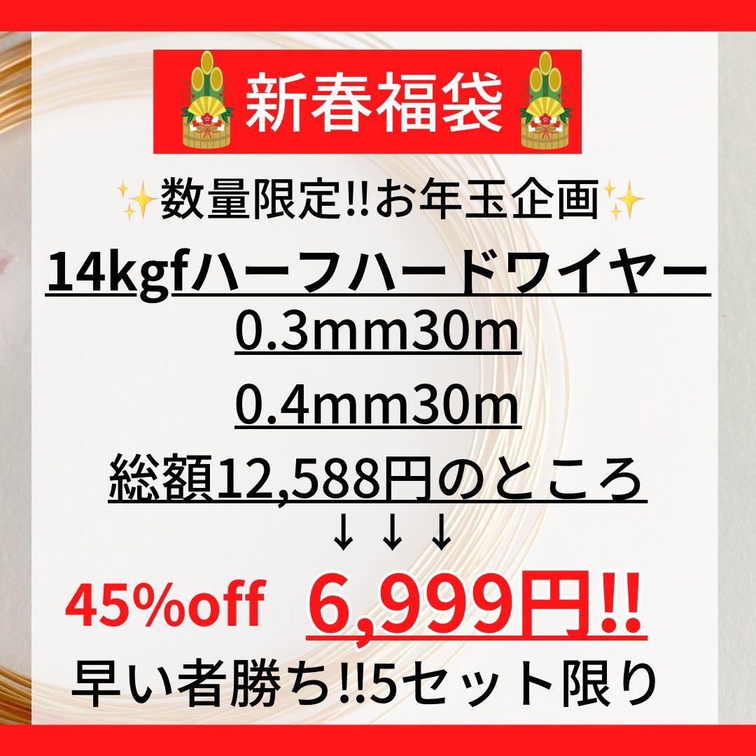 新春お年玉企画14kgf あずきチェーン 1.3mm 5m ワイヤー60mまとめ