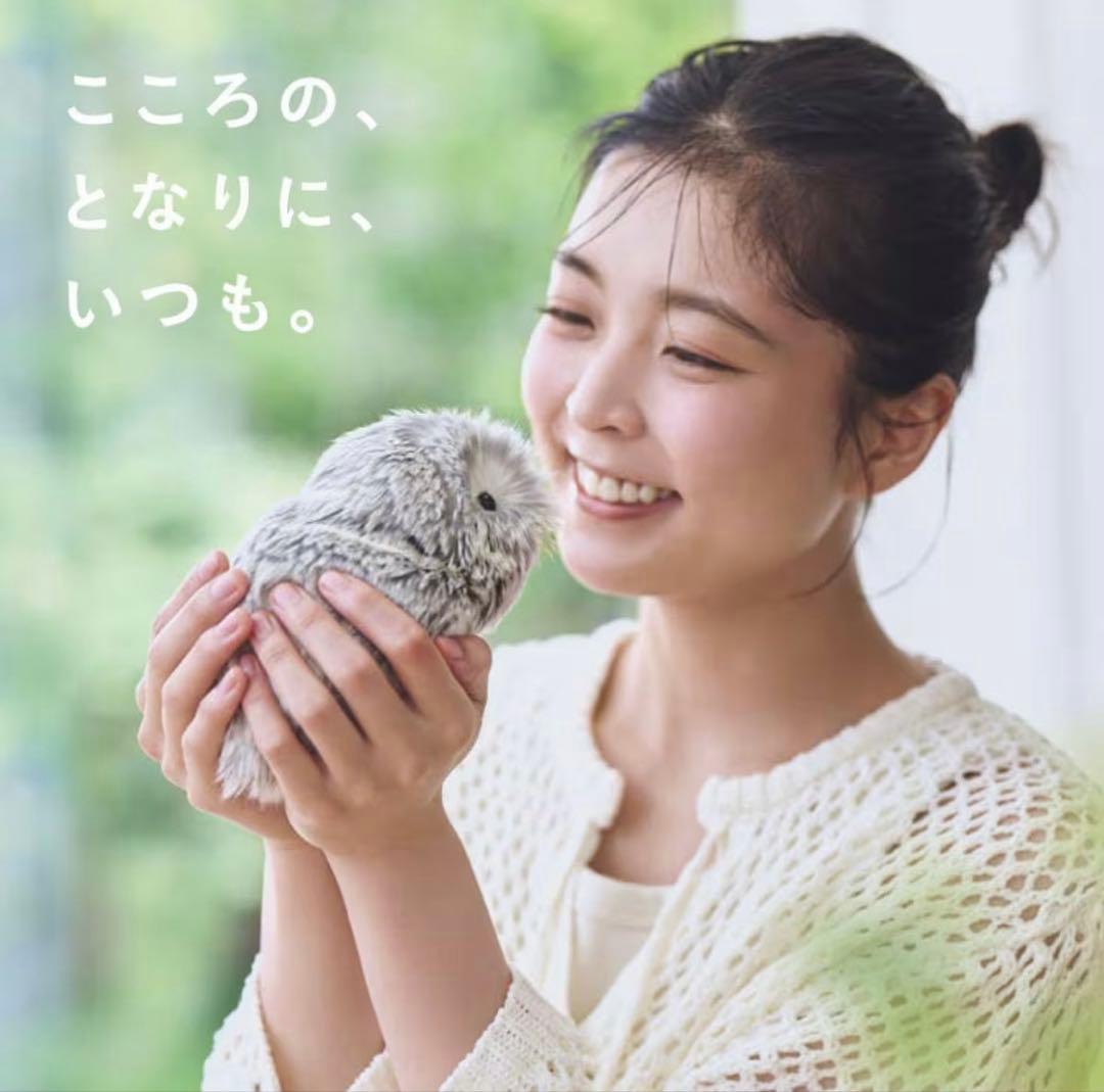 新品未開封】Moflin モフリン シルバー AIペット - メルカリ