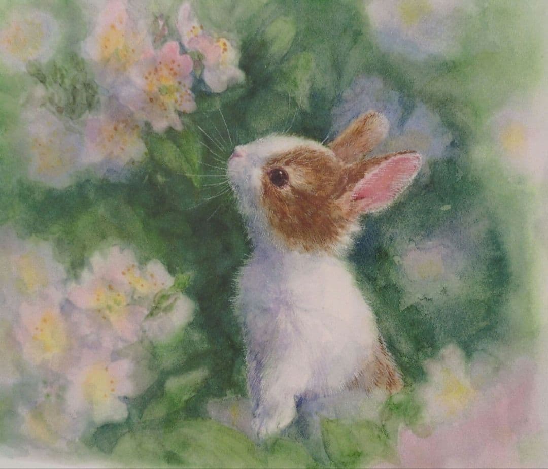 土田穣 絵画・アート(版画額装品)/ピンクの花/ウサギ・うさぎ 楽天市場】土田穣 絵画・アート(版画額装品)/ピンクの花/ウサギ