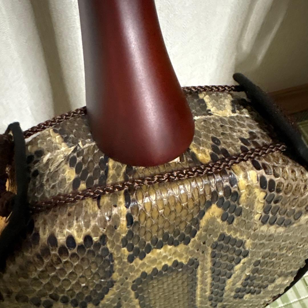 三線 蛇三線 本皮 本革 蛇皮 蛇革 三味線 琉球 沖縄 楽器 ソフトケース