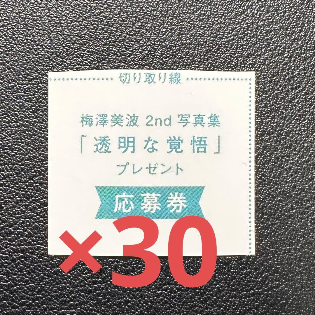 梅澤美波2nd写真集『透明な覚悟』プレゼント応募券 ×30 - メルカリ