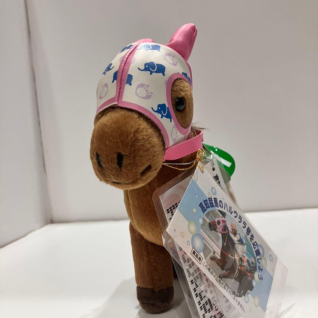 ピ*ー様 ハルウララ ゼッケン1高知競馬 ぬいぐるみ 応援タグ&単勝タグ