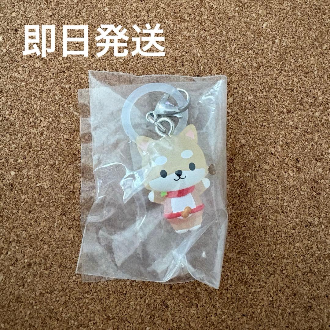 JOCHUM めじるしアクセサリー まめちぃ - メルカリ