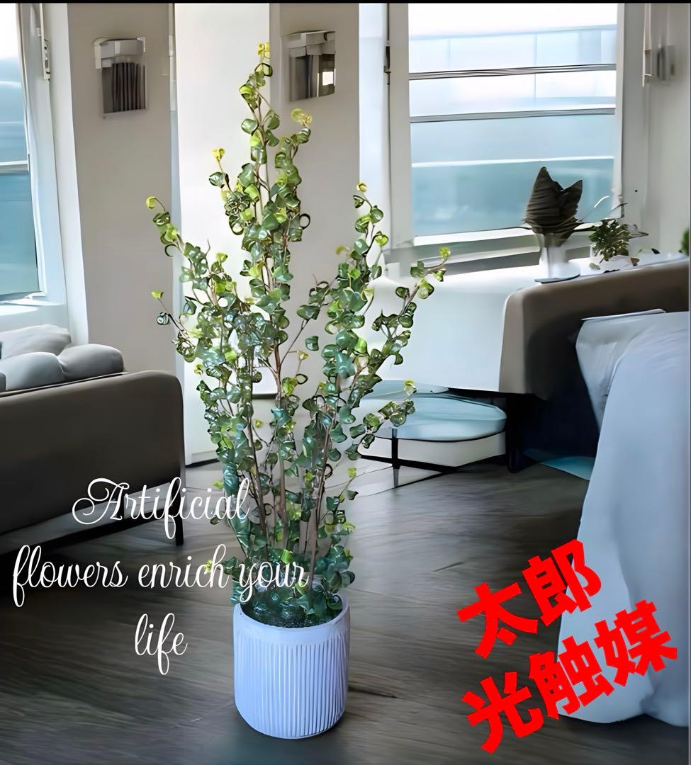 光触媒　人工観葉植物　ウォールグリーン　フェイクグリーン　ベンジャミンバロックy 光触媒 人工観葉植物 ウォールグリーン フェイクグリーン ベンジャミン
