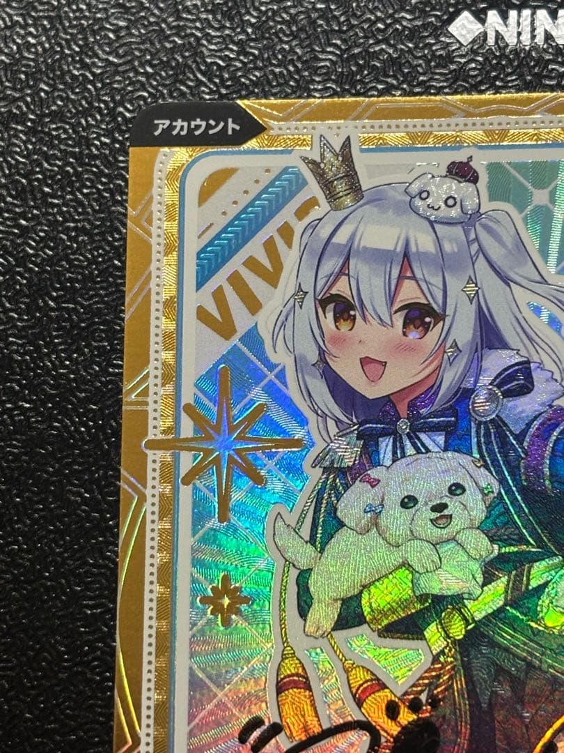 Vividz 犬山たまき 直筆サイン のりプロ SING プレシャスメモリーズ