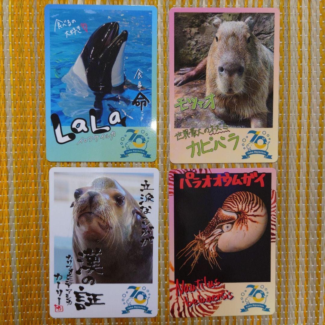鳥羽水族館 コレクションカード - メルカリ
