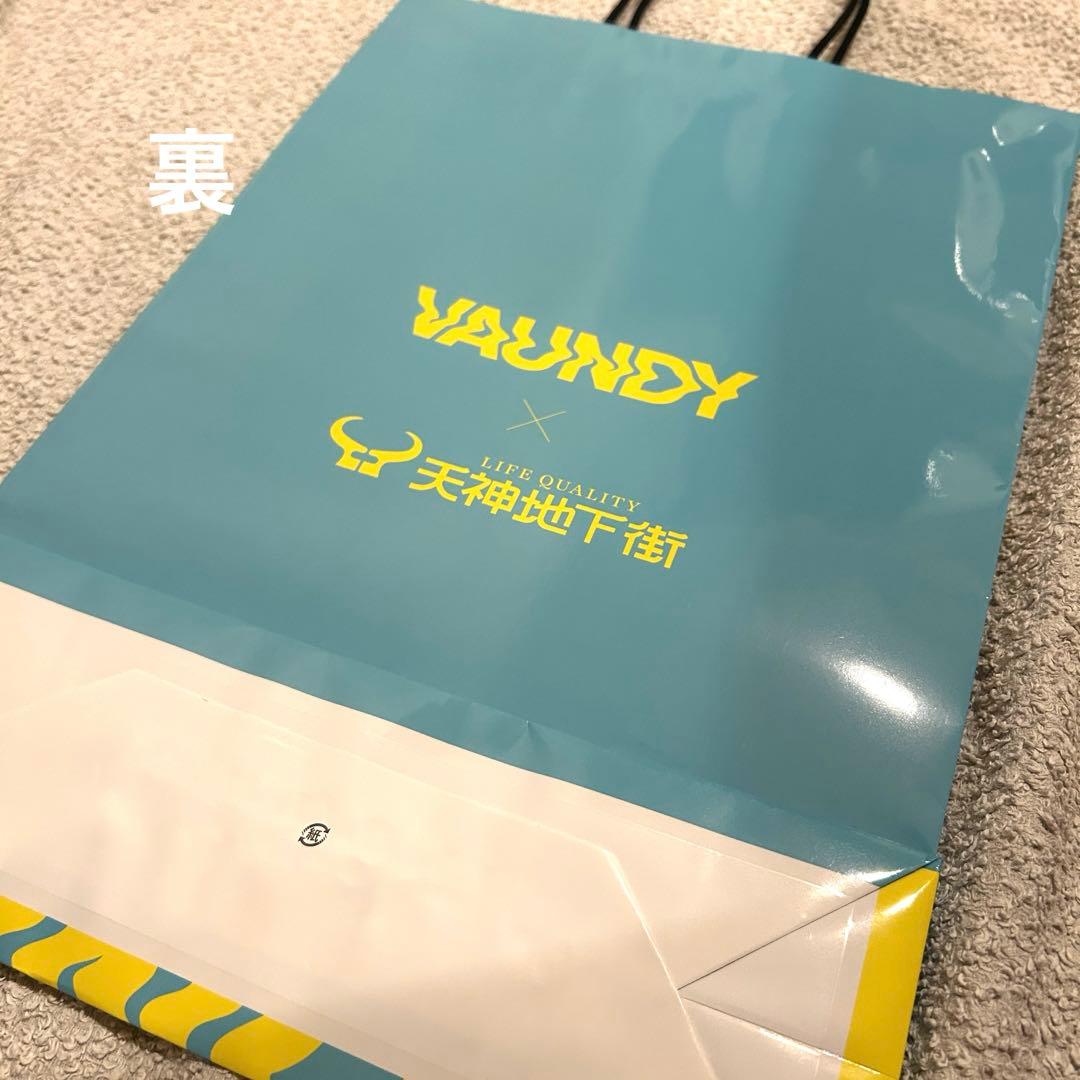 即日発送！VAUNDY DOME TOUR 2026 天神地下ショッパー福岡 - メルカリ